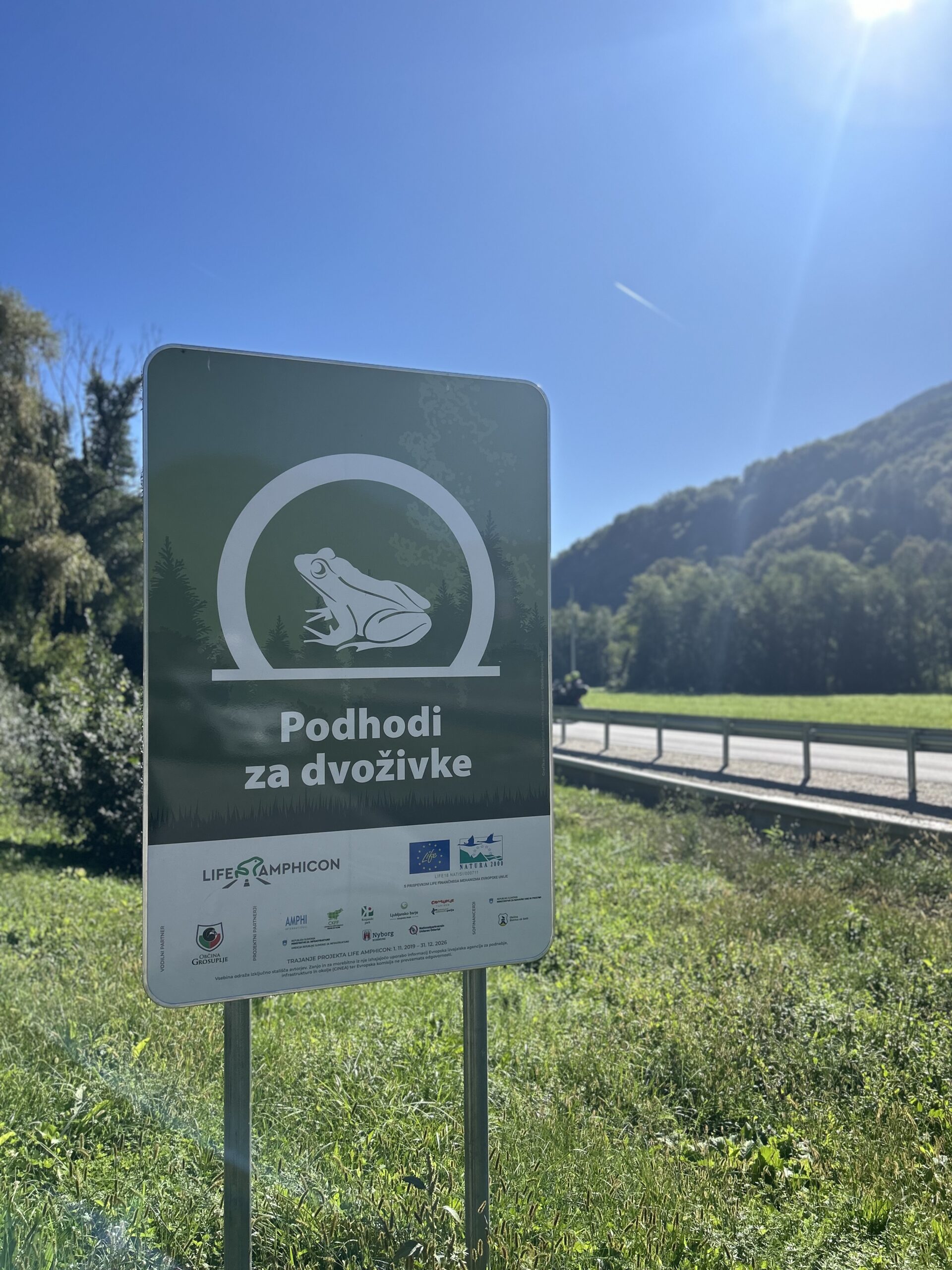 Podhodi za dvoživke