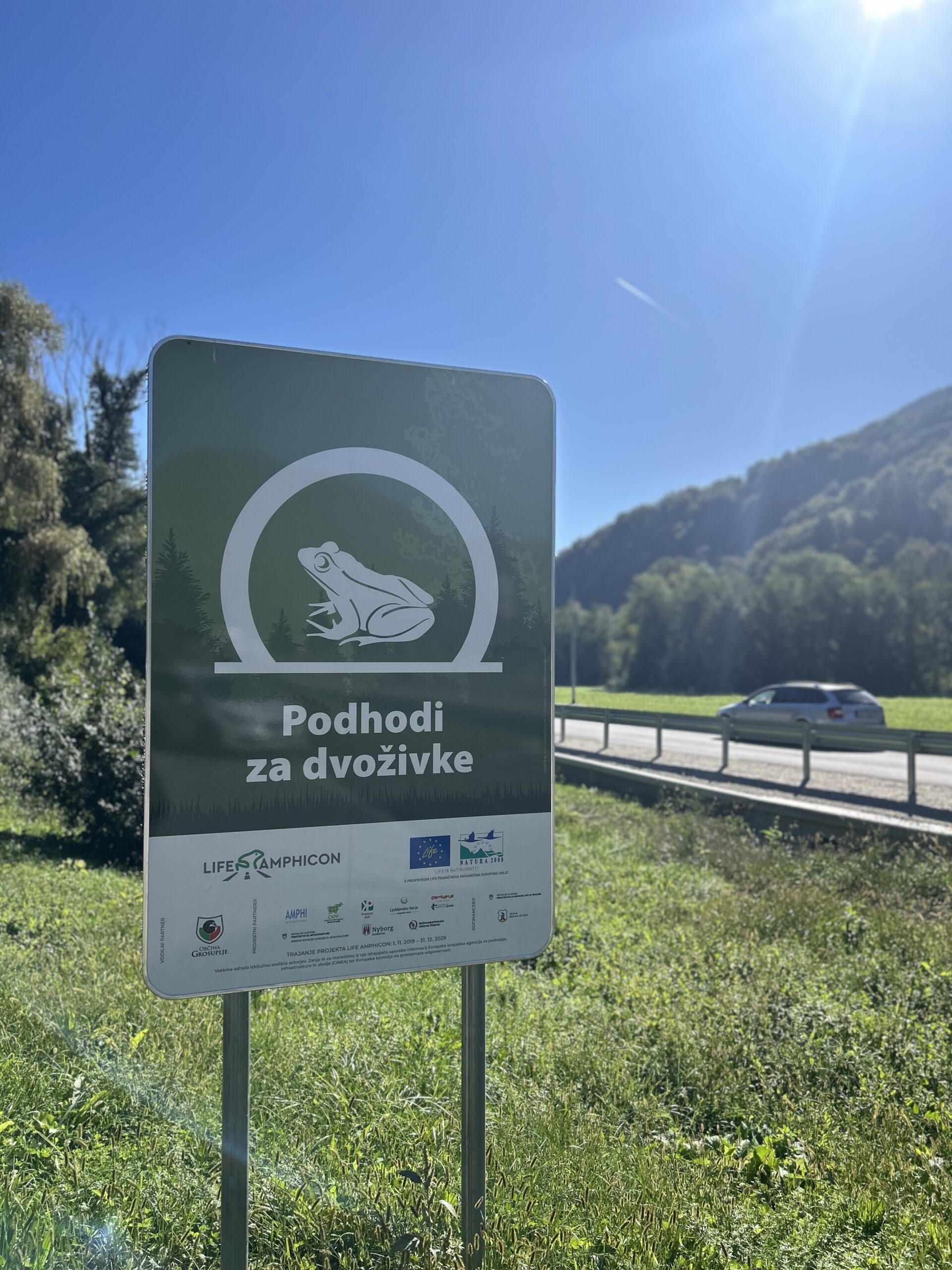 podhodi za dvoživke – eng